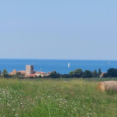 Apartments Henc Novigrad Istria Kültér fotó