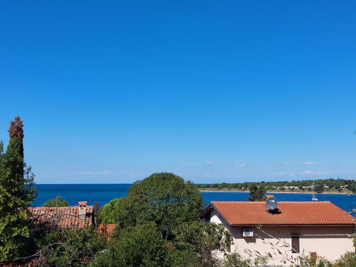Apartments Henc Novigrad Istria Kültér fotó
