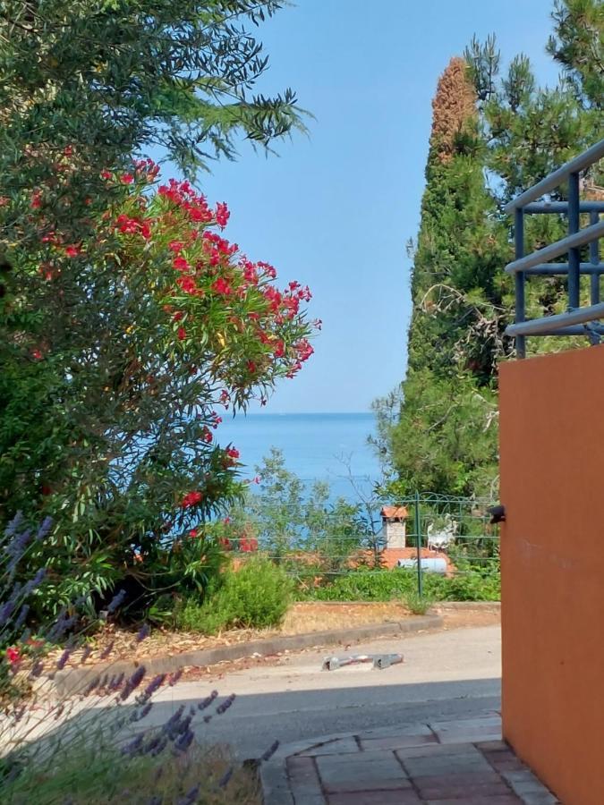 Apartments Henc Novigrad Istria Kültér fotó