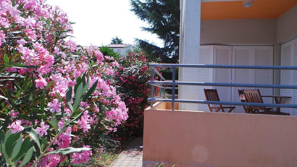 Apartments Henc Novigrad Istria Szoba fotó
