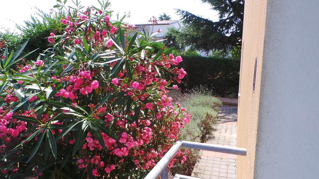 Apartments Henc Novigrad Istria Kültér fotó
