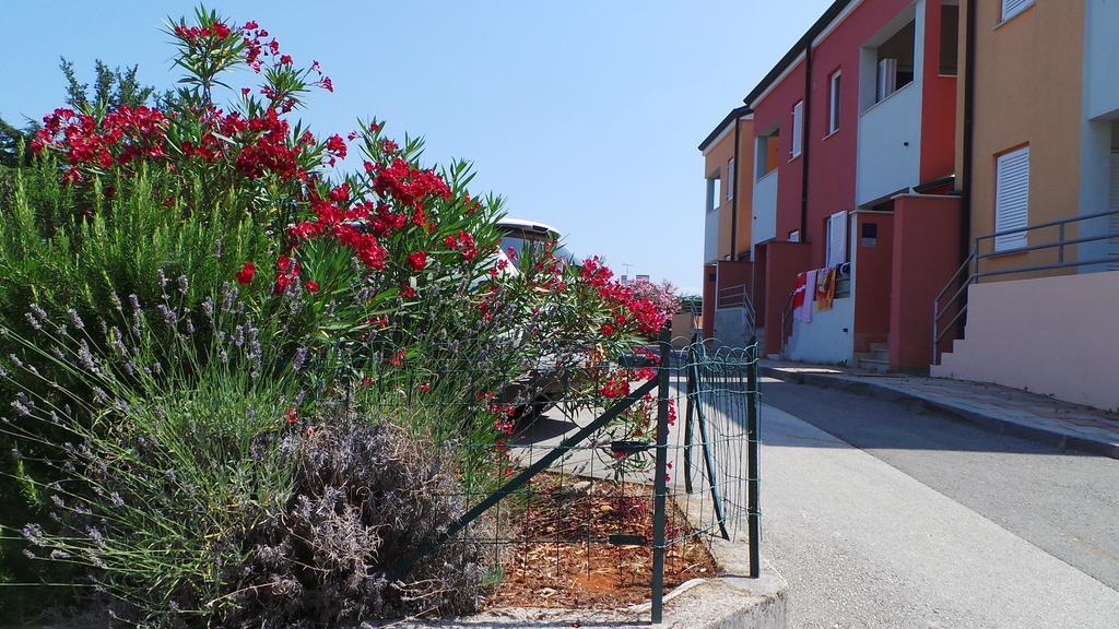Apartments Henc Novigrad Istria Kültér fotó