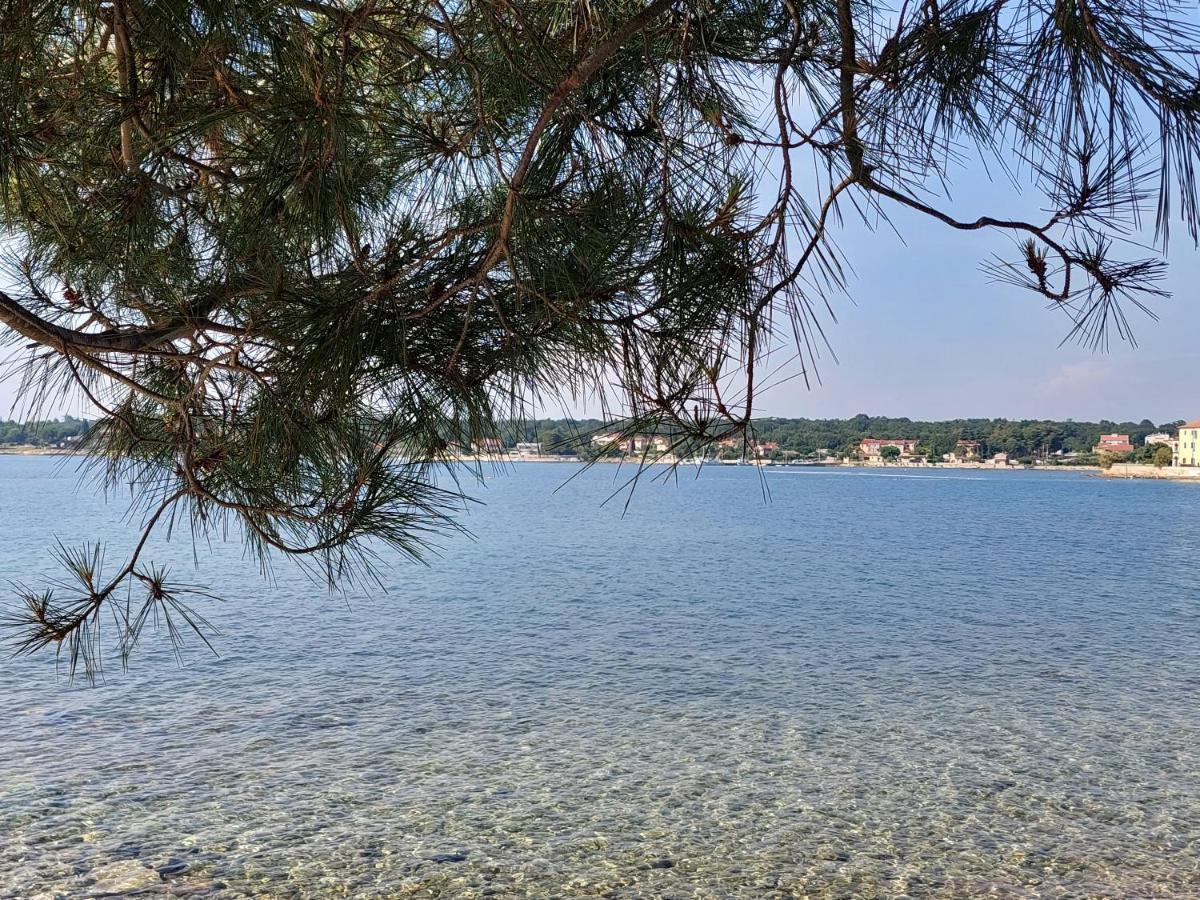 Apartments Henc Novigrad Istria Kültér fotó