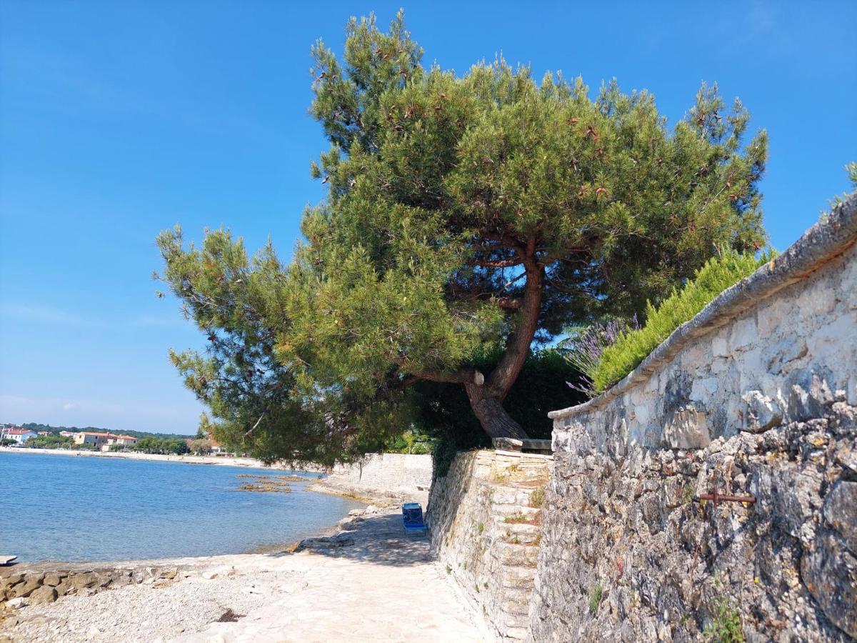 Apartments Henc Novigrad Istria Kültér fotó