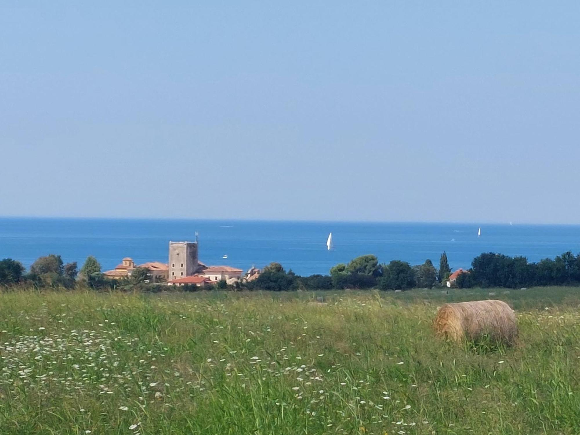 Apartments Henc Novigrad Istria Kültér fotó